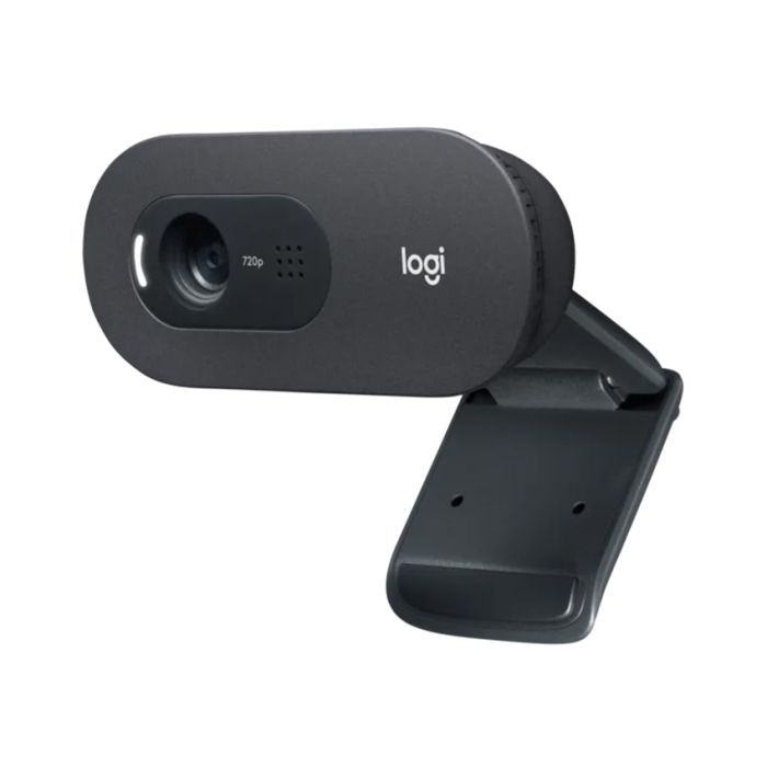 Web kamera Logitech C505 Long Range HD