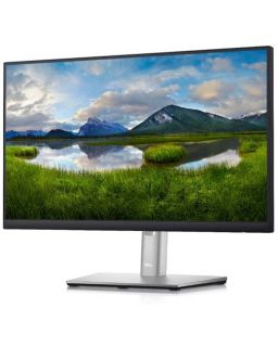 Monitor Dell 21.5 P2222H Professional IPS
