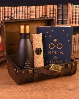 Poklon set Harry Potter (Trouble FInds Me) Premium Gift Set