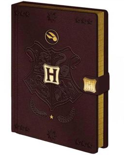 Sveska Harry Potter (Quidditch) A5 Premium Notebook