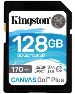 Memorijska kartica Kingston 128GB SDG3/128GB