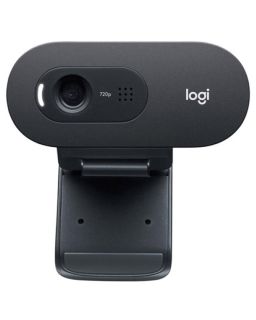 Web kamera Logitech C505e 960-001372