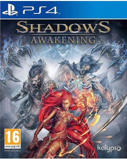 PS4 Shadows Awakening